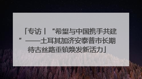 专访丨“希望与中国携手共建”——土耳其加济安泰普市长期待古丝路重镇焕发新活力