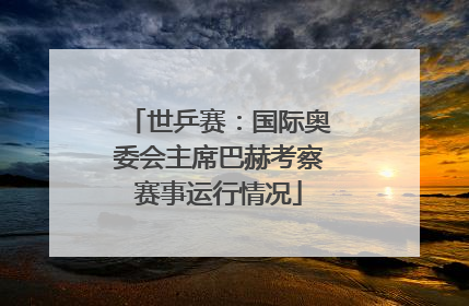世乒赛：国际奥委会主席巴赫考察赛事运行情况