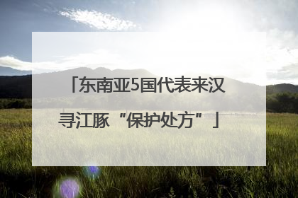 东南亚5国代表来汉寻江豚“保护处方”