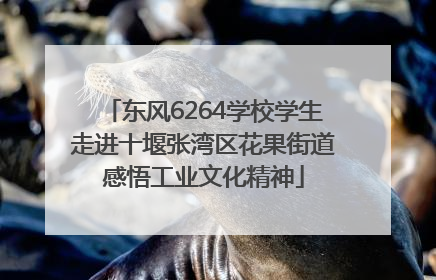 东风6264学校学生走进十堰张湾区花果街道感悟工业文化精神