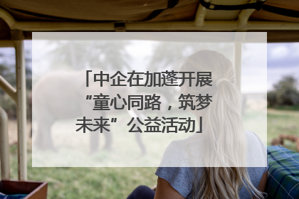 中企在加蓬开展“童心同路，筑梦未来”公益活动