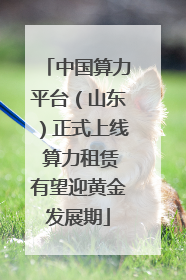 中国算力平台（山东）正式上线 算力租赁有望迎黄金发展期