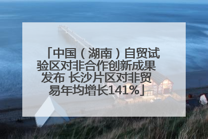 中国（湖南）自贸试验区对非合作创新成果发布 长沙片区对非贸易年均增长141%