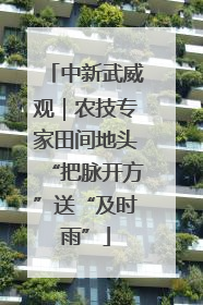 中新武威观｜农技专家田间地头“把脉开方”送“及时雨”