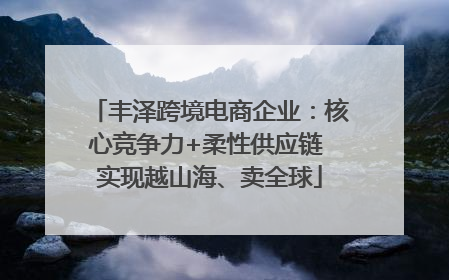丰泽跨境电商企业：核心竞争力+柔性供应链 实现越山海、卖全球
