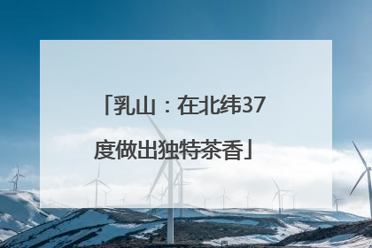 乳山：在北纬37度做出独特茶香