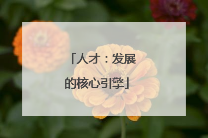 人才：发展的核心引擎