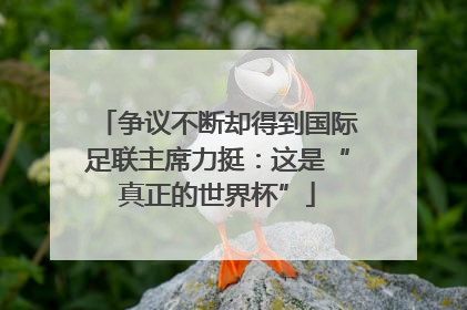 争议不断却得到国际足联主席力挺：这是“真正的世界杯”