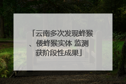 云南多次发现蜂猴、倭蜂猴实体 监测获阶段性成果