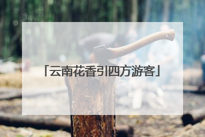 云南花香引四方游客