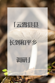 云霄县县长到和平乡调研