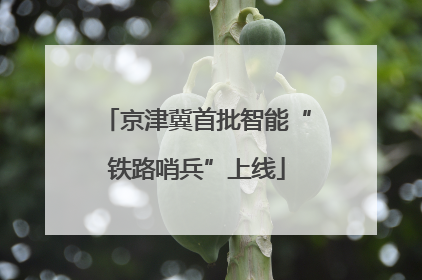 京津冀首批智能“铁路哨兵”上线