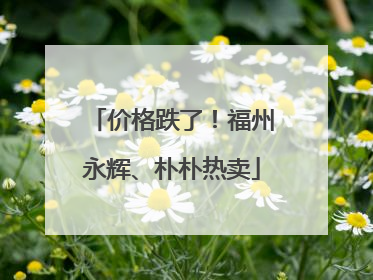 价格跌了！福州永辉、朴朴热卖