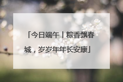 今日端午丨粽香飘春城，岁岁年年长安康