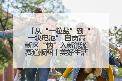 从“一粒盐”到“一块电池” 自贡高新区“钠”入新能源赛道版图丨美好生活有“盐”味
