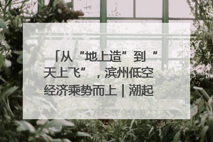 从“地上造”到“天上飞”，滨州低空经济乘势而上｜潮起渤海・网聚黄蓝