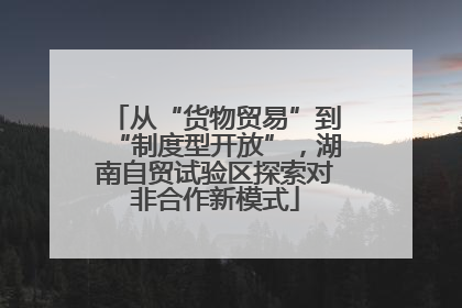 从“货物贸易”到“制度型开放”，湖南自贸试验区探索对非合作新模式