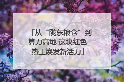 从“陇东粮仓”到算力高地 这块红色热土焕发新活力