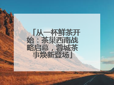 从一杯鲜茶开始：茶巢西南战略启幕，蓉城茶事焕新登场