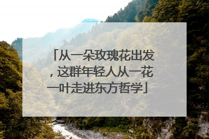 从一朵玫瑰花出发，这群年轻人从一花一叶走进东方哲学