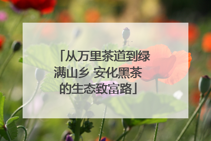 从万里茶道到绿满山乡 安化黑茶的生态致富路