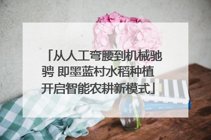 从人工弯腰到机械驰骋 即墨蓝村水稻种植开启智能农耕新模式