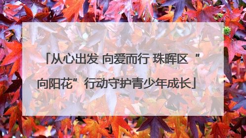从心出发 向爱而行 珠晖区“向阳花”行动守护青少年成长