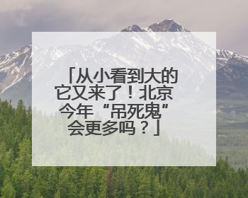 从小看到大的它又来了！北京今年“吊死鬼”会更多吗？
