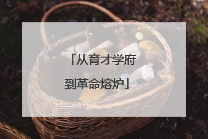 从育才学府到革命熔炉