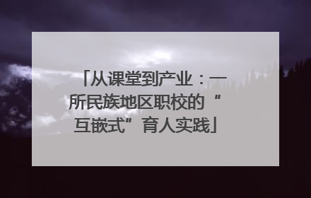 从课堂到产业：一所民族地区职校的“互嵌式”育人实践