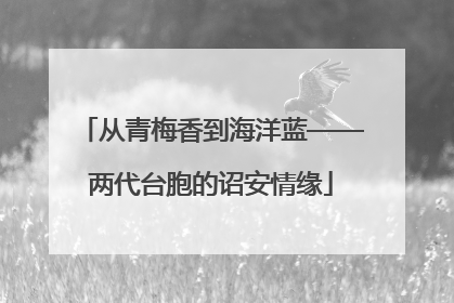 从青梅香到海洋蓝——两代台胞的诏安情缘