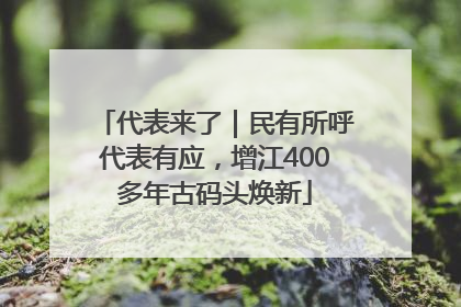 代表来了｜民有所呼代表有应，增江400多年古码头焕新