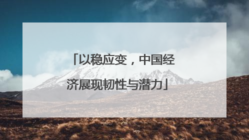 以稳应变，中国经济展现韧性与潜力