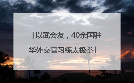以武会友，40余国驻华外交官习练太极拳