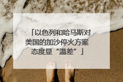 以色列和哈马斯对美国的加沙停火方案态度显“温差”