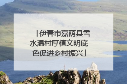伊春市嘉荫县雪水温村厚植文明底色促进乡村振兴