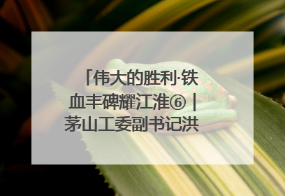 伟大的胜利·铁血丰碑耀江淮⑥｜茅山工委副书记洪天诚的亲笔信