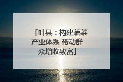 叶县：构建蔬菜产业体系 带动群众增收致富