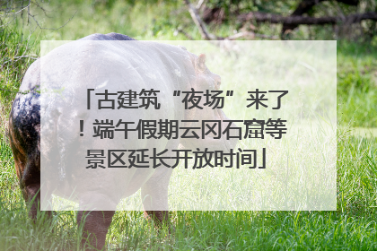 古建筑“夜场”来了！端午假期云冈石窟等景区延长开放时间