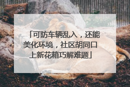可防车辆乱入，还能美化环境，社区胡同口上新花箱巧解难题