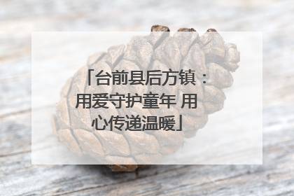 台前县后方镇：用爱守护童年 用心传递温暖