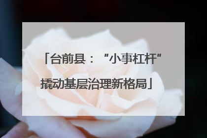 台前县：“小事杠杆”撬动基层治理新格局