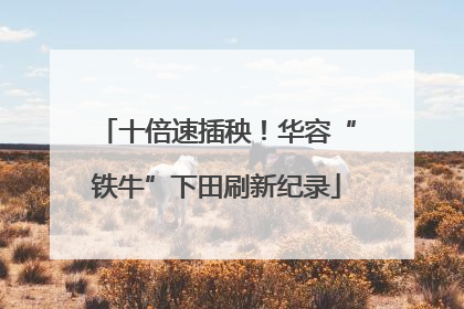 十倍速插秧！华容“铁牛”下田刷新纪录