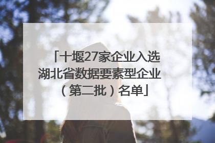十堰27家企业入选湖北省数据要素型企业（第二批）名单
