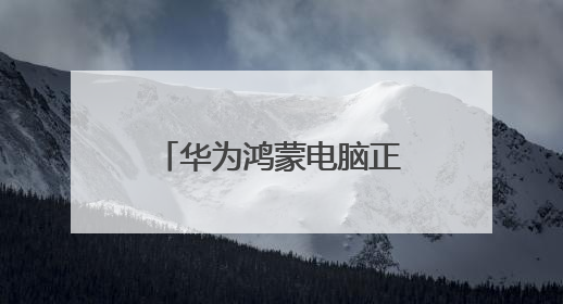 华为鸿蒙电脑正式开售 铠大师虚拟机为用户创造多元应用环境