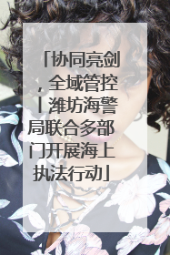 协同亮剑，全域管控丨潍坊海警局联合多部门开展海上执法行动