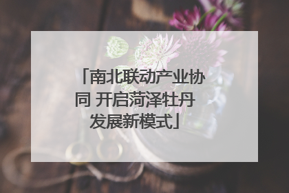 南北联动产业协同 开启菏泽牡丹发展新模式