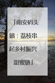 南安码头镇：荔枝串起乡村振兴甜蜜链
