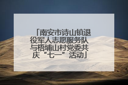南安市诗山镇退役军人志愿服务队与梧埔山村党委共庆“七一”活动
