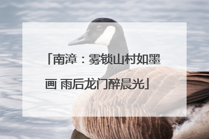 南漳：雾锁山村如墨画 雨后龙门醉晨光